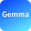 Google Gemma Chat Online